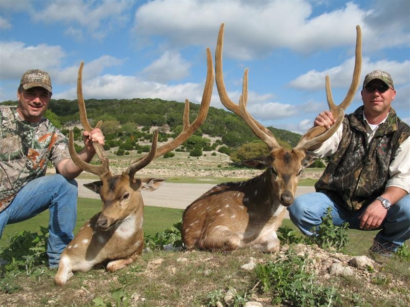Texas Exotic Hunts :: Rocky Woodford Outfitting